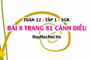 Bài 8 trang 81 Toán 12 tập 1 Cánh Diều